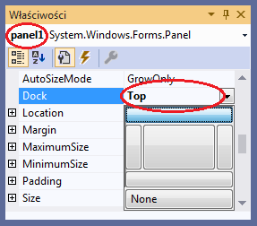 Panel Visual Studio C#