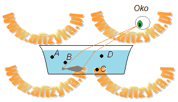 Promienie świetlne po odbiciu od ryby biegną