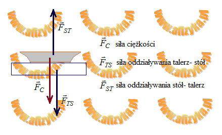 siły działające w układzie talerz- stół