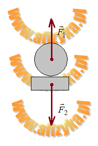 który poprawnie przedstawia siły