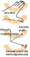 reguła lewej dłoni