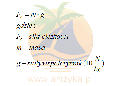 wzór na siłę ciężkości, ciężar ciała, jednostka siły niuton