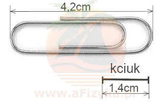 Ania przyjęła za jednostkę długości szerokość swojego kciuka