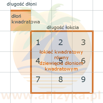 1 łokieć = 3 dłonie. Ile dłoni kwadratowych ma jeden łokieć