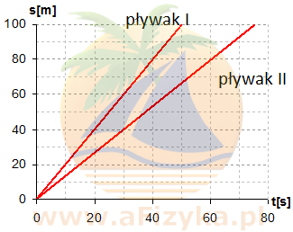 Pływacy ścigali się na dystansie