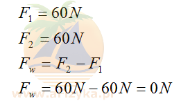 siła wypadkowa 0N