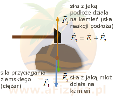 w chwili uderzenia młotem na kamień działają trzy siły